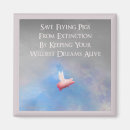 Search for pig fly magnets When pigs fly