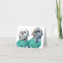 Search for shih cards Pets