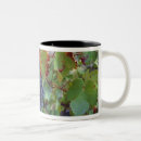 Search for bunch of grapes mugs Green