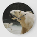 Search for polar bear clocks Endangered species