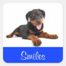 Search for rottweiler stickers Puppy