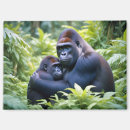 Search for gorilla magnets Nature