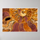 Search for natural history art Nature