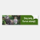 Search for ferret bumper stickers Polecat