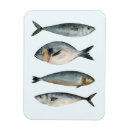 Search for group magnets Fish