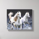 Search for horse canvas prints Animals