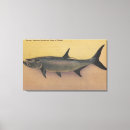 Search for tarpon art Florida