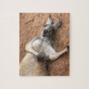 Search for kangaroo puzzles Animals