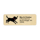 Search for cute labrador retriever Dog