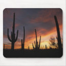 Search for sonoran electronics Southwest