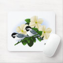 Search for capped chickadee electronics Chickadees