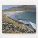 Search for picturesque mousepads Scenic