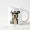 Search for american staffordshire terrier mugs Pet