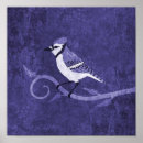 Search for bluejays posters Birds