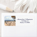 Search for palm tree return address stickers Beach