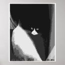 Search for closet Black and white