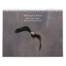 Search for eagle calendars Wildlife