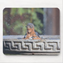 Search for avians mousepads Blue