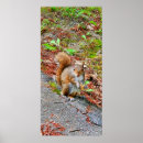Search for furry creatures posters Animal