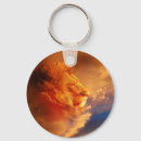 Search for sunset cloud key rings Clouds