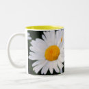 Search for painted daisies mugs Flowers
