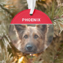 Search for breed christmas tree decorations Pets