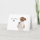 Search for just saying hello cards Pet
