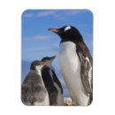 Search for habitat magnets Ocean