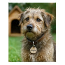 Search for adopt a pet posters Cute