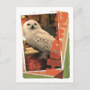 Search for hedwig postcards Jk rowling