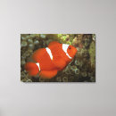 Search for wild side canvas prints Nature