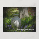 Search for shady postcards Park