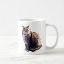 Search for tortoiseshell cat mugs Tabby