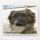 Search for rescue mousepads Charity