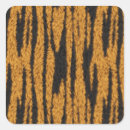 Search for tiger fur stickers Big cat