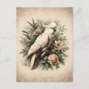 Search for pink parrot postcards Tropical