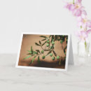 Search for olive tree cards Olives