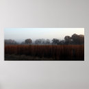 Search for across posters Nature