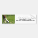 Search for alpacas bumper stickers Farm