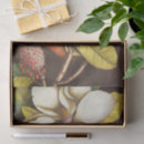 Search for magnolia tissue paper Nature
