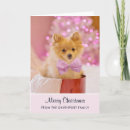 Search for dog christmas cards Whimsical