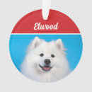 Search for american eskimo dog christmas tree decorations Eskies