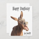 Search for donkey birthday cards Animal lover