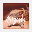 Search for antelope canyon magnets Desert