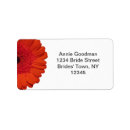 Search for daisy wedding return address labels Rsvp