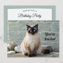 Search for siamese invitations Feline
