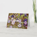 Search for petunias cards Flower