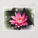 Search for water reflection postcards Photography