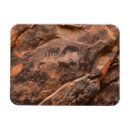 Search for arid magnets Desolate