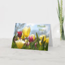 Search for sun thank you cards Red